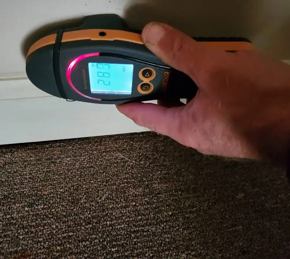 Moisture detection at baseboard during Sewage Cleanup & Sanitation in Meridian